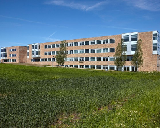 University College 2