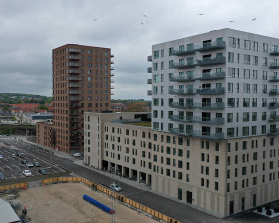 15131 Taffel Høker,Aalborg 0296(1)