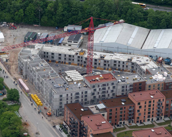 17131 Brokvart BF C 44